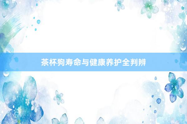茶杯狗寿命与健康养护全判辨