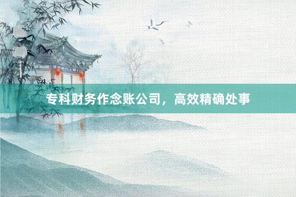 专科财务作念账公司，高效精确处事